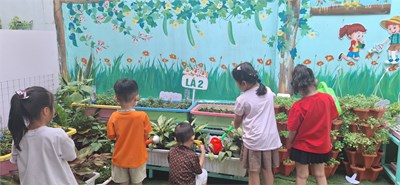 Bé chăm sóc cây xanh